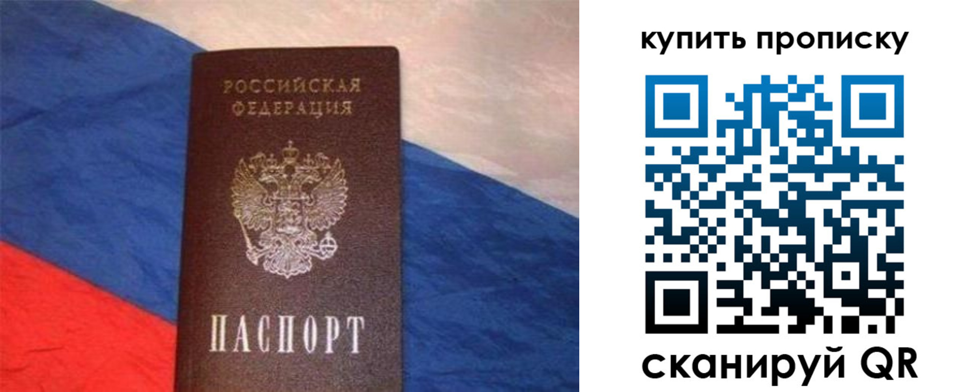 прописка штамп в Бабаево